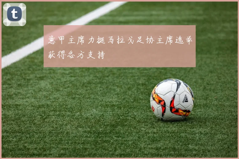 意甲主席力挺马拉戈足协主席选举获得各方支持