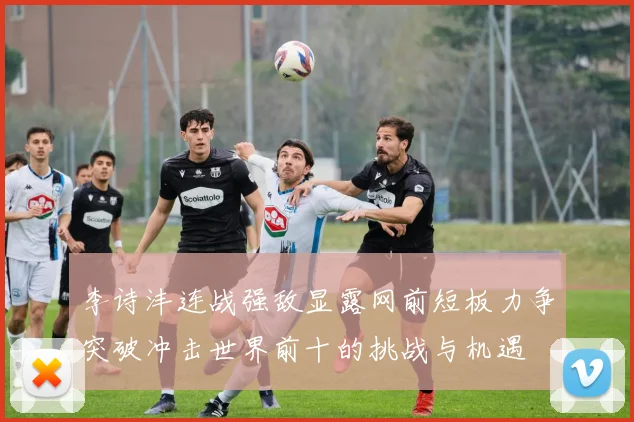 李诗沣连战强敌显露网前短板力争突破冲击世界前十的挑战与机遇